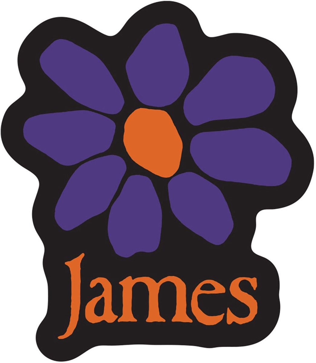 James - Orange Logo Purple Daisy Sticker - Zwart/Multicolours