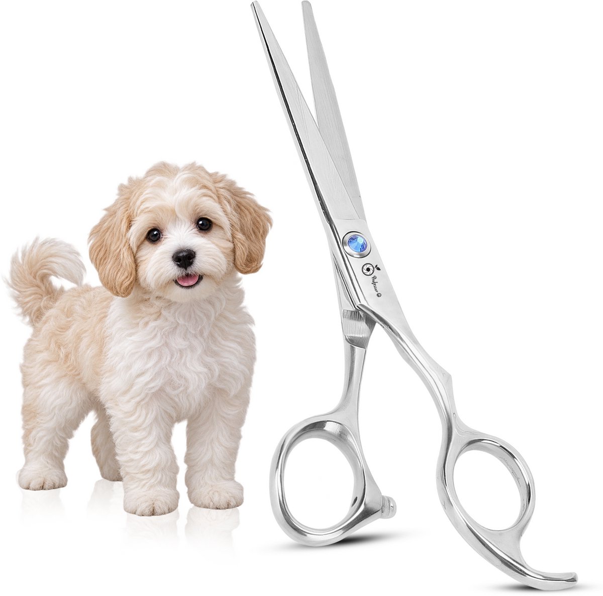 Professor Q Professionele Hondentrimschaar – Rechte 8 Inch Hondenschaar – Japans J2-staal – Ergonomische Trimschaar voor Honden