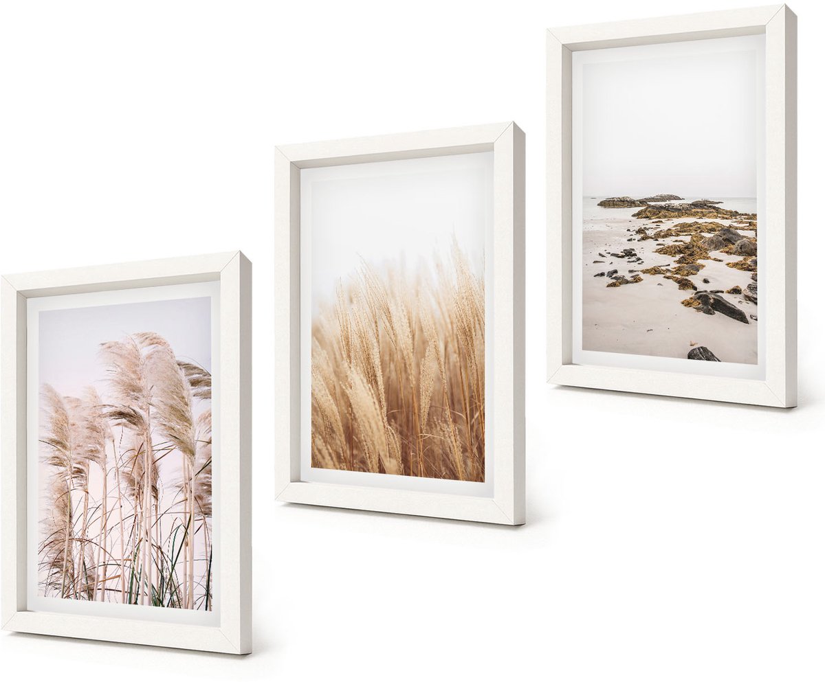 Coloray 3-Delige Schilderij Set - Pampasgrasvelden en Boho-strand - 20x30 - Decoratieve Schilderijen - Woonkamer - Interieur - Stijlvolle Muurdecoratie