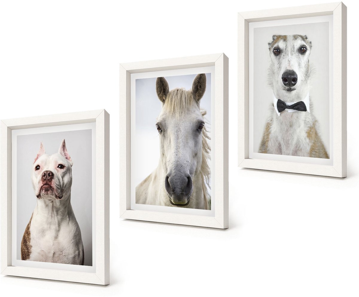 Coloray 3-Delige Schilderij Set - Interessante portretten van honden en paarden in een elegante stijl. - 20x30 - Moderne Wanddecoratie - Slaapkamer - Woonkamer Decoratie