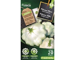 Protecta Groente zaden: Patisson Witte