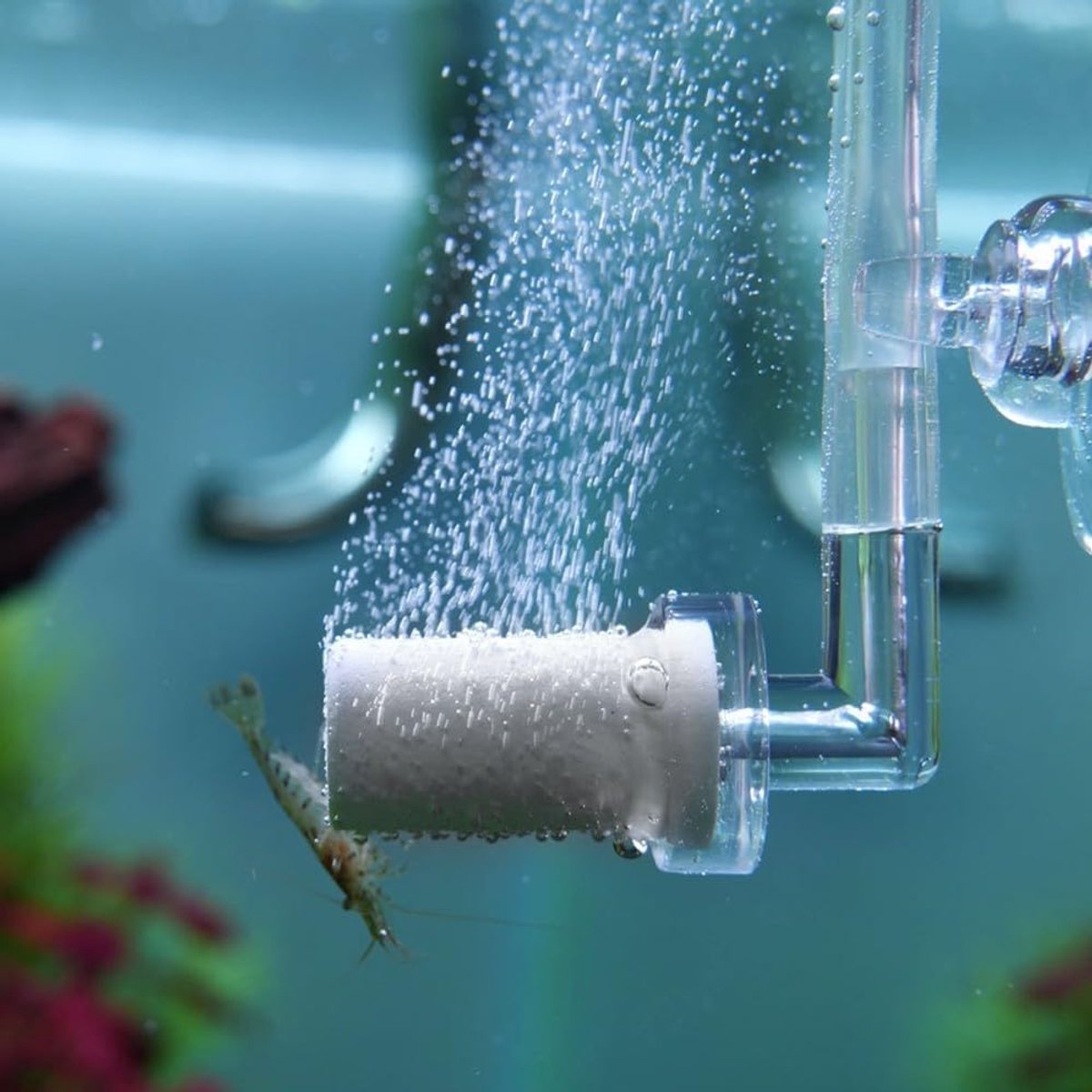 CO2 diffuser 360° roterend - acryl aquarium - met zuignap - voor gezonde aquatische planten - ShopVlot