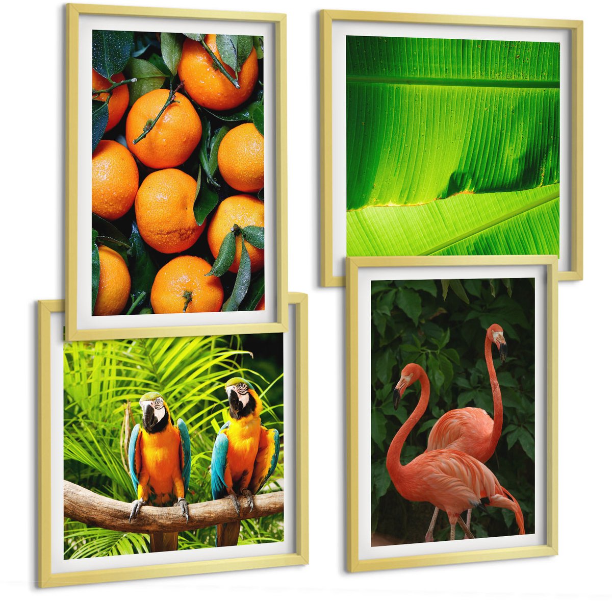 TULUP 4-Delige Schilderij Set - Fruitige accenten met papegaaien en flamingo's in de tropen - 40 x 40 cm en 40 x 60 cm - Muurdecoratie - Wanddecoratie - Slaapkamer Gouden lijst