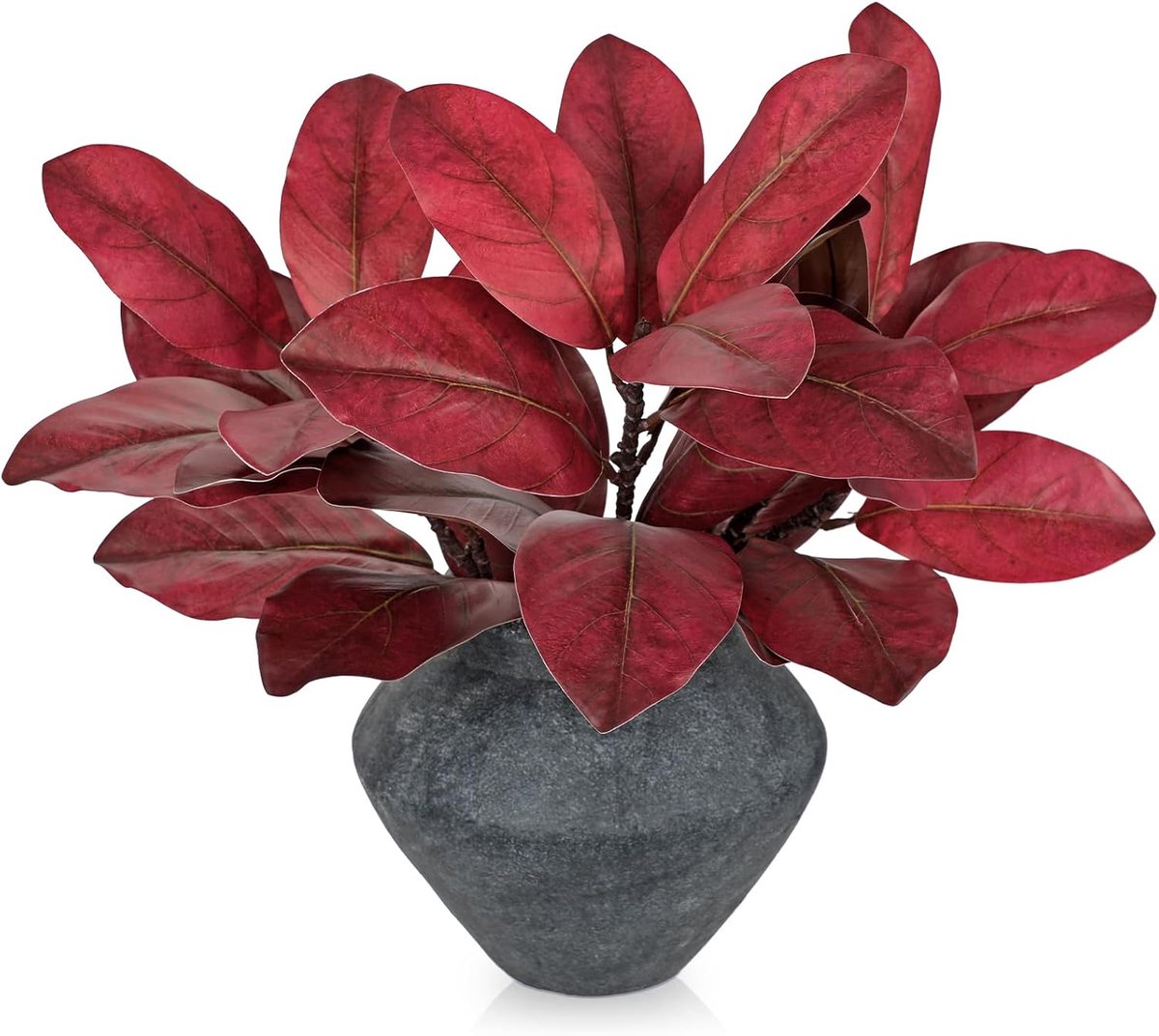 Magnolia-bladeren, 56 cm, rode magnolia-takken voor vaas - ShopVlot