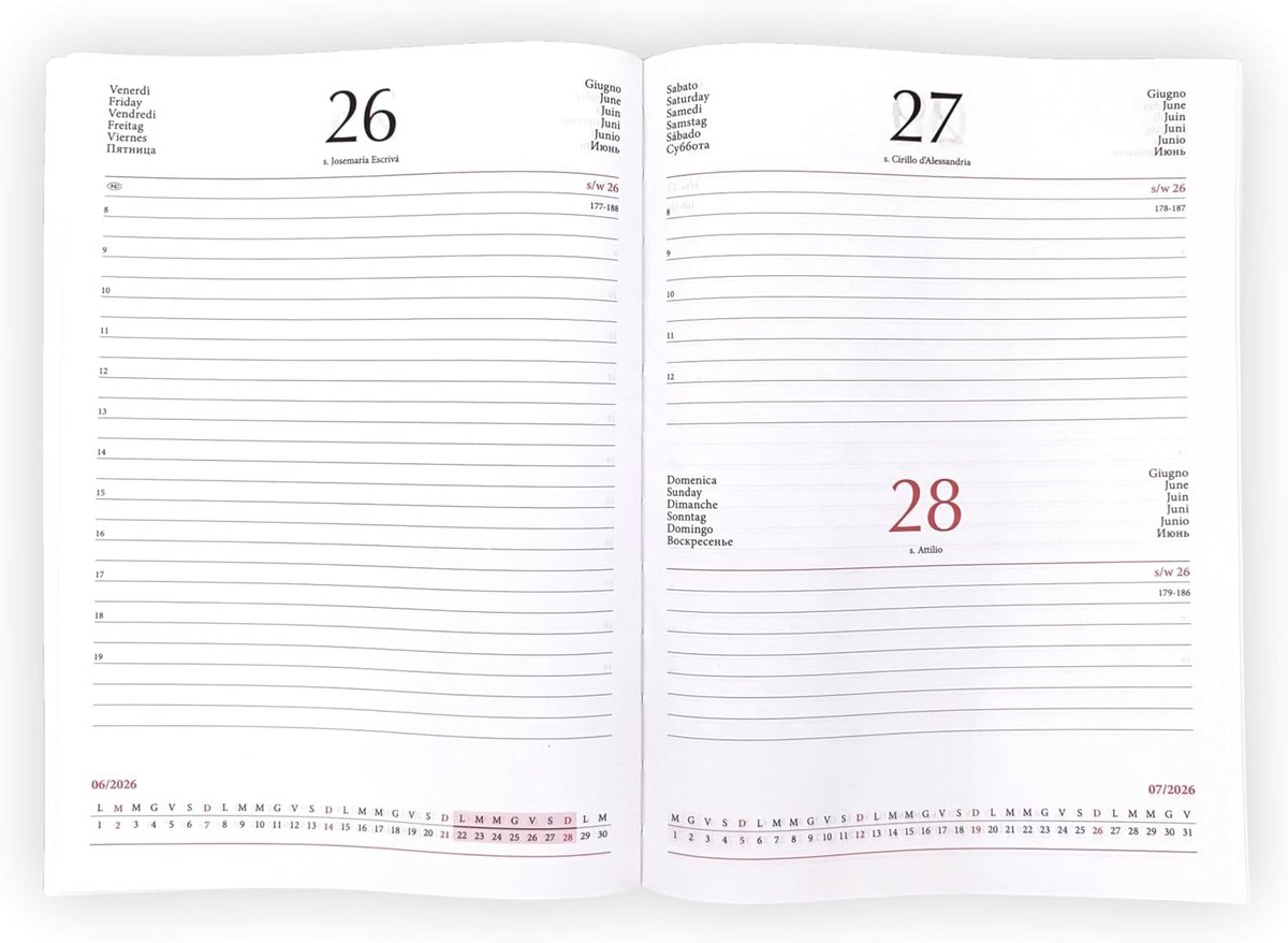 Agendepoint.it - Replacement day planner 2025, 17 x 24 cm, white, cover made of cardboard, Saturday and Sunday, one - ShopVlot