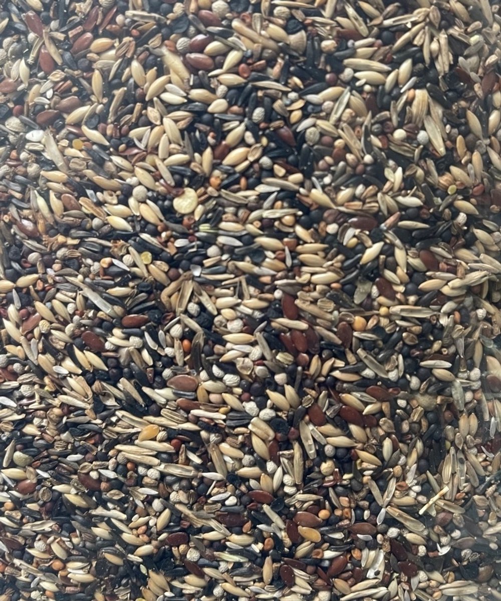 Jan Koenings Putters en Sijzenvoer nr. 1 - 5 kilo - Overige zaden - Vogelzaad - Vogelvoer - Kapoetsensijs (Carduelis cucullata)