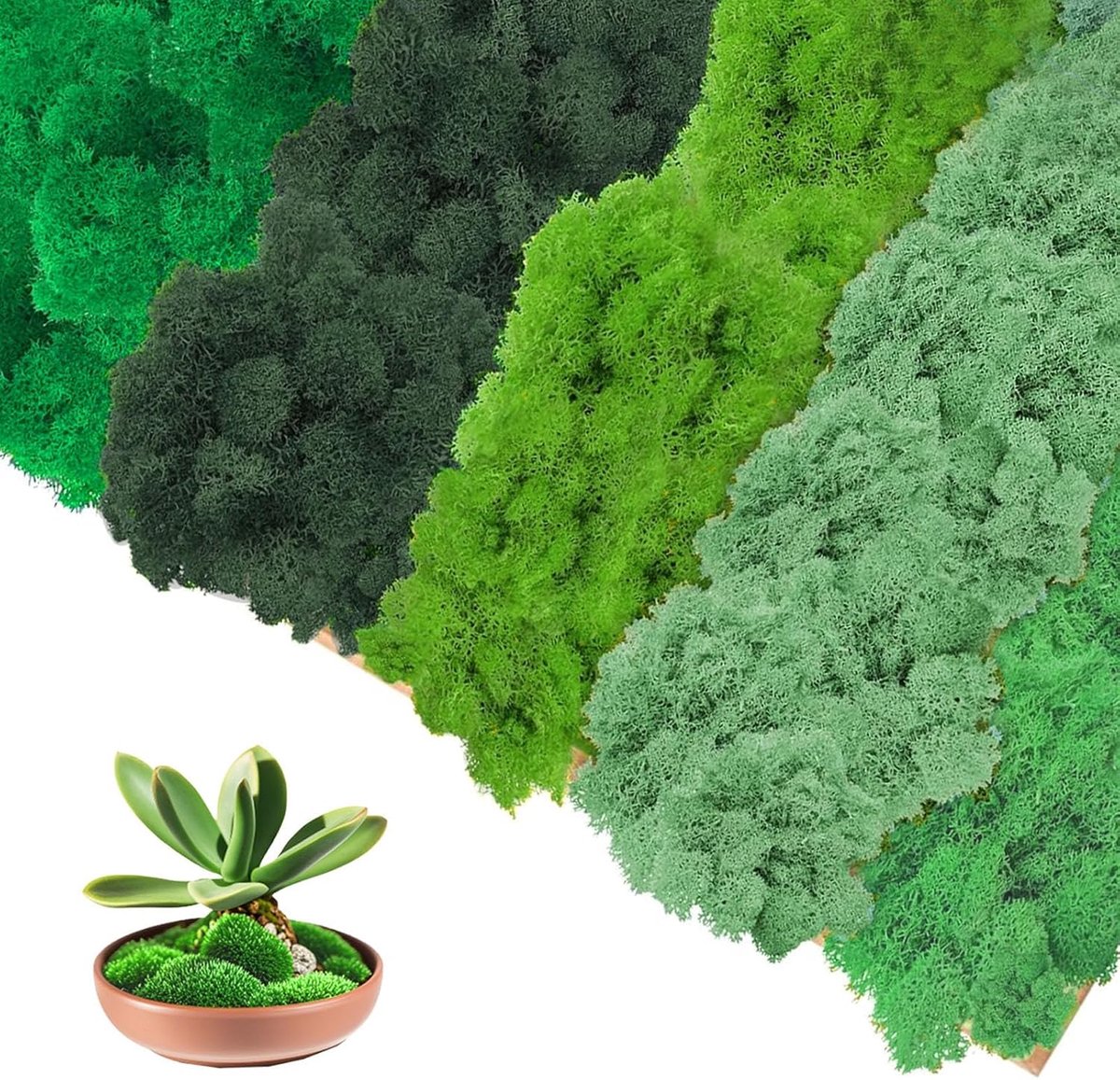 IJslands Mos voor Creativiteit - 200 g - Vijf Kleuren - Perfect voor Natuurdecoraties - ShopVlot