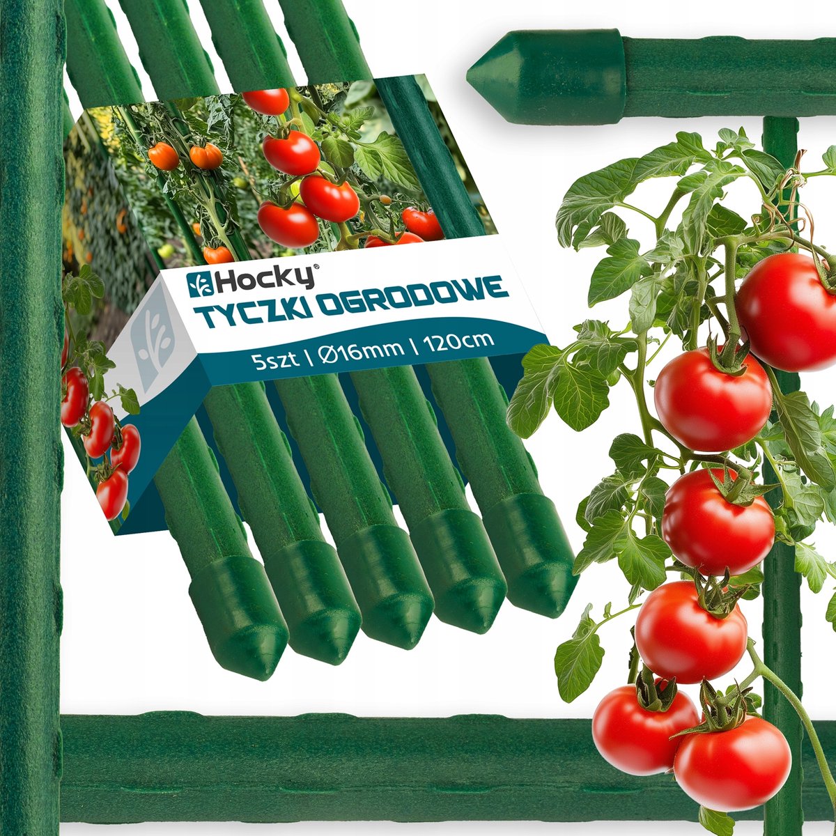 Tomatenstokken 120cm x 16mm - Stevig Plantensteun (5 stuks)