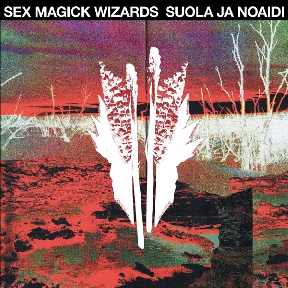 Suola Ja Noaidi