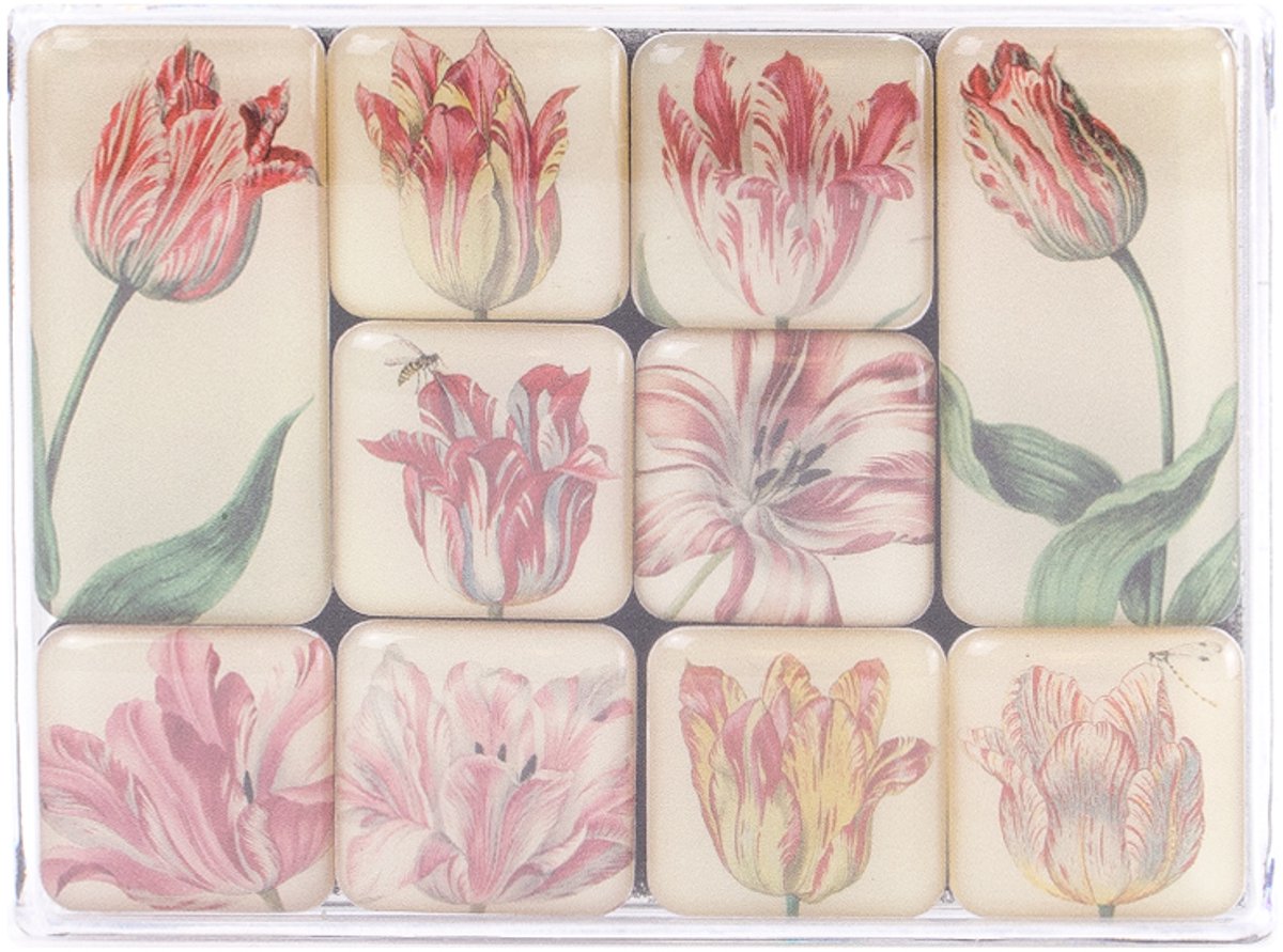 Koelkastmagneetjes, Tulpen