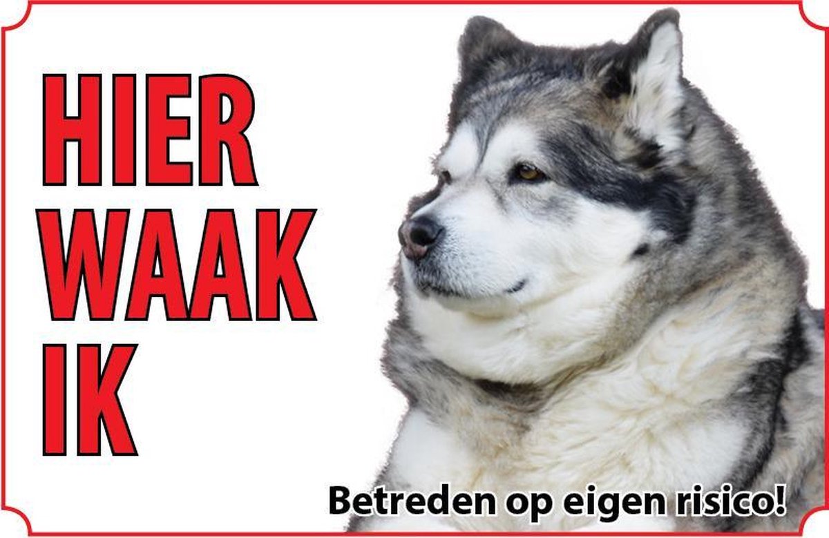 Bord - Hond-Alaska-malamute