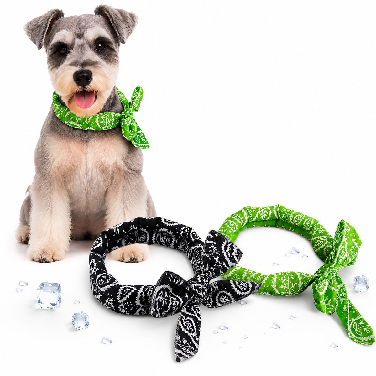 Koelhalsband Hond Set van 2 - Verkoelende Halsband voor Honden en Katten - Handige Koelsjaal voor Honden tegen Hitte - Ademende Hondenkoeling voor de Zomer-Zwart en groen