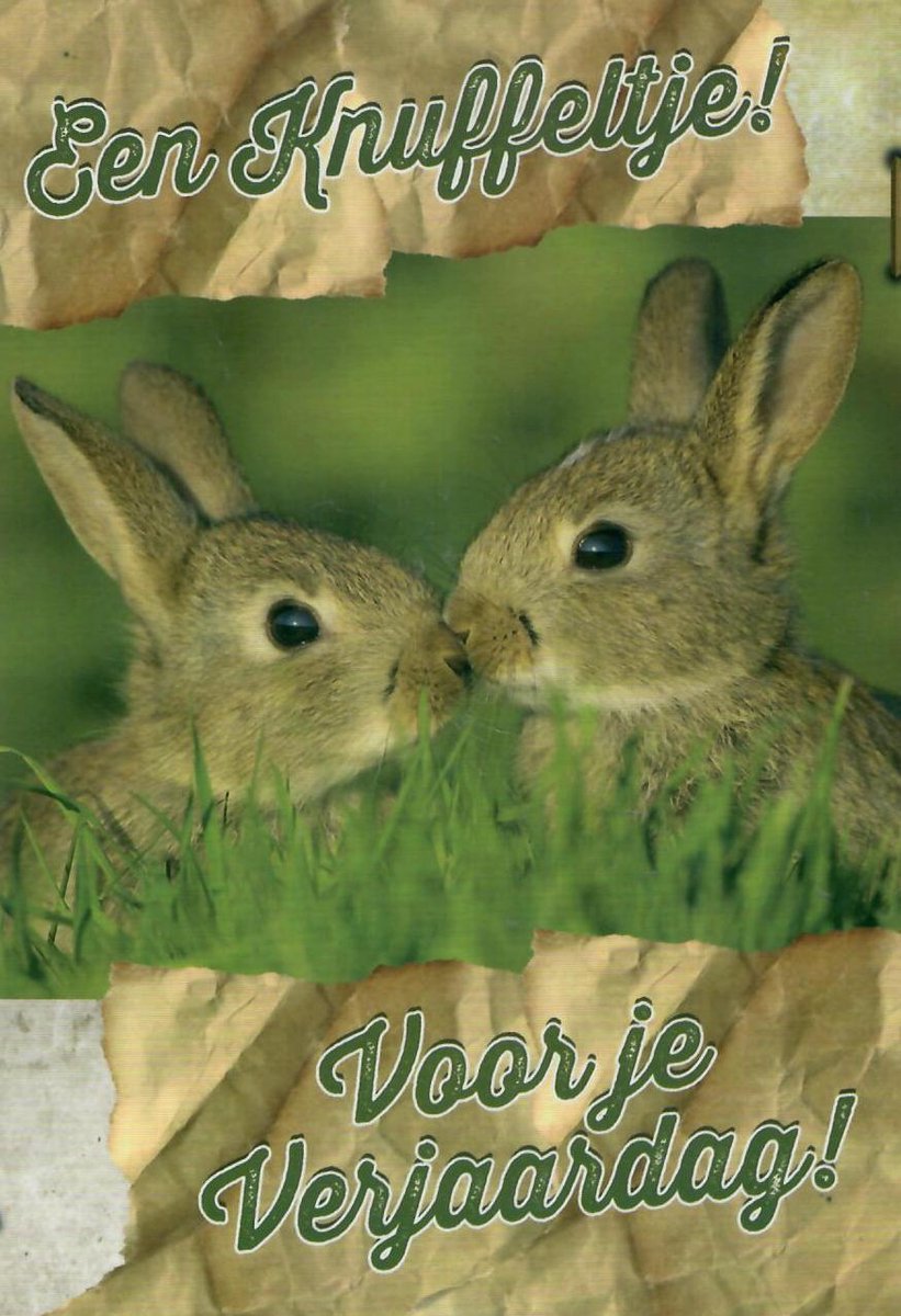 Verjaardagskaart dier | Wenskaart | 10 stuks | Een knuffeltje! voor je verjaardag!