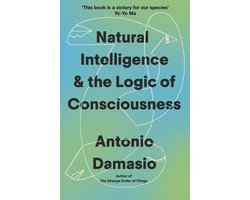 Natural Intelligence And The Logic Of Consciousness