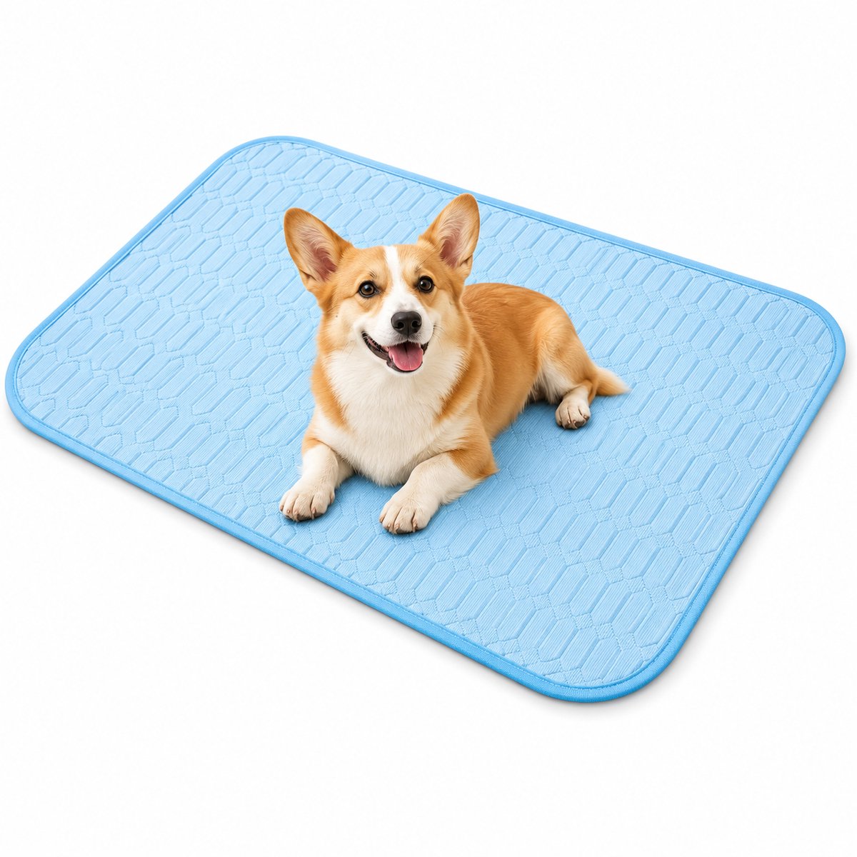 Koelmat voor honden en katten - Huisdierenmat - Niet-giftige gel - 70 x 50 cm - Blauw