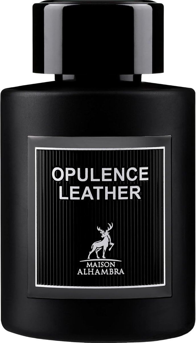 SnelShoppen - Luxe Luchtverfrisser Spray 100 Ml - Amber & Leer Geur - Perfect voor Thuis, Auto, Kantoor, Feest en Meer - Verfris Snel en Eenvoudig