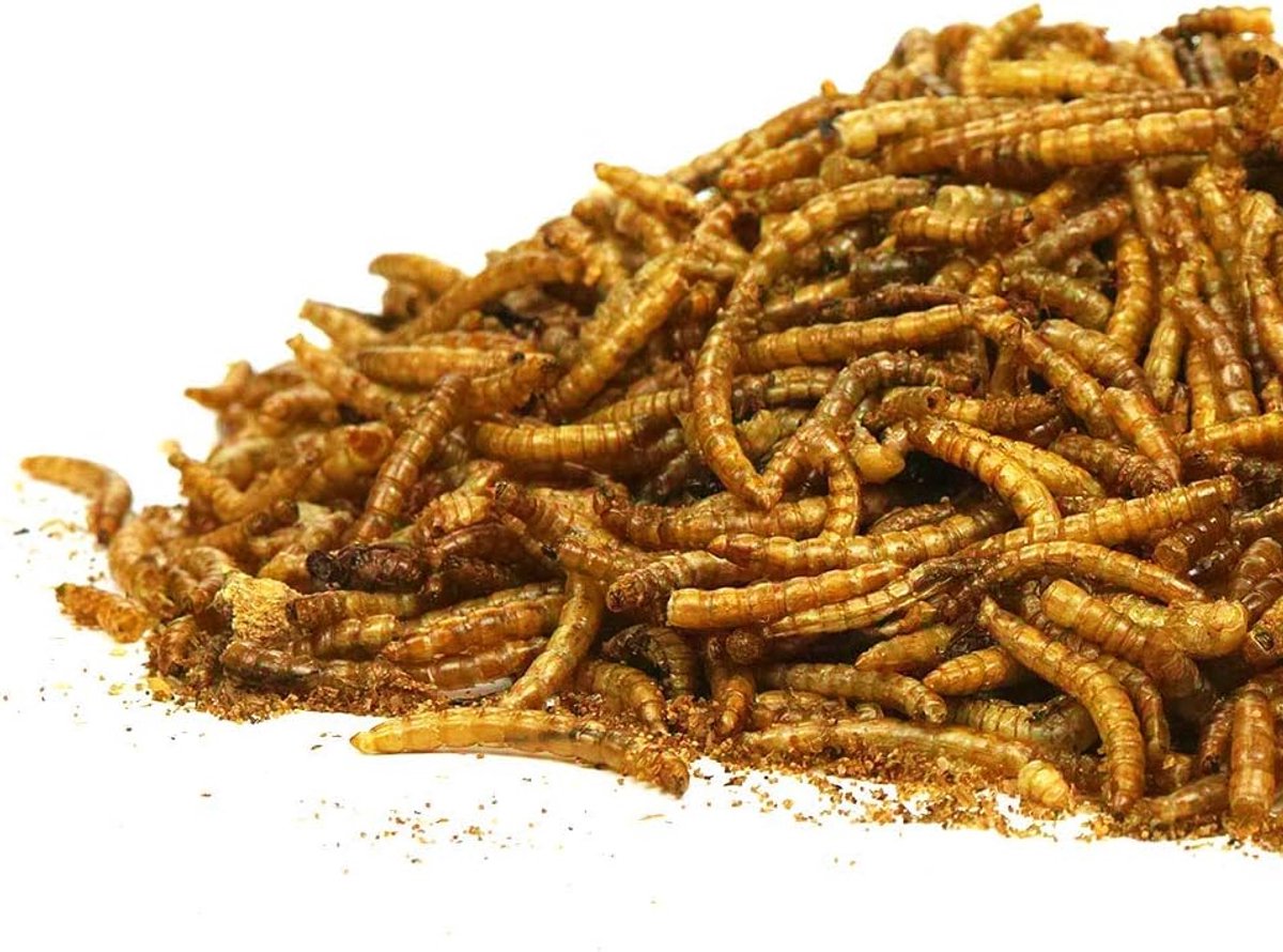 SnelShoppen - Drogen Meelwormen 2.5kg - Premium Kwaliteit Tuin Snack Voor Vogels - Rijke Bron Van Eiwitten, Energie Voor Wilde Vogels - 100% Natuurlij