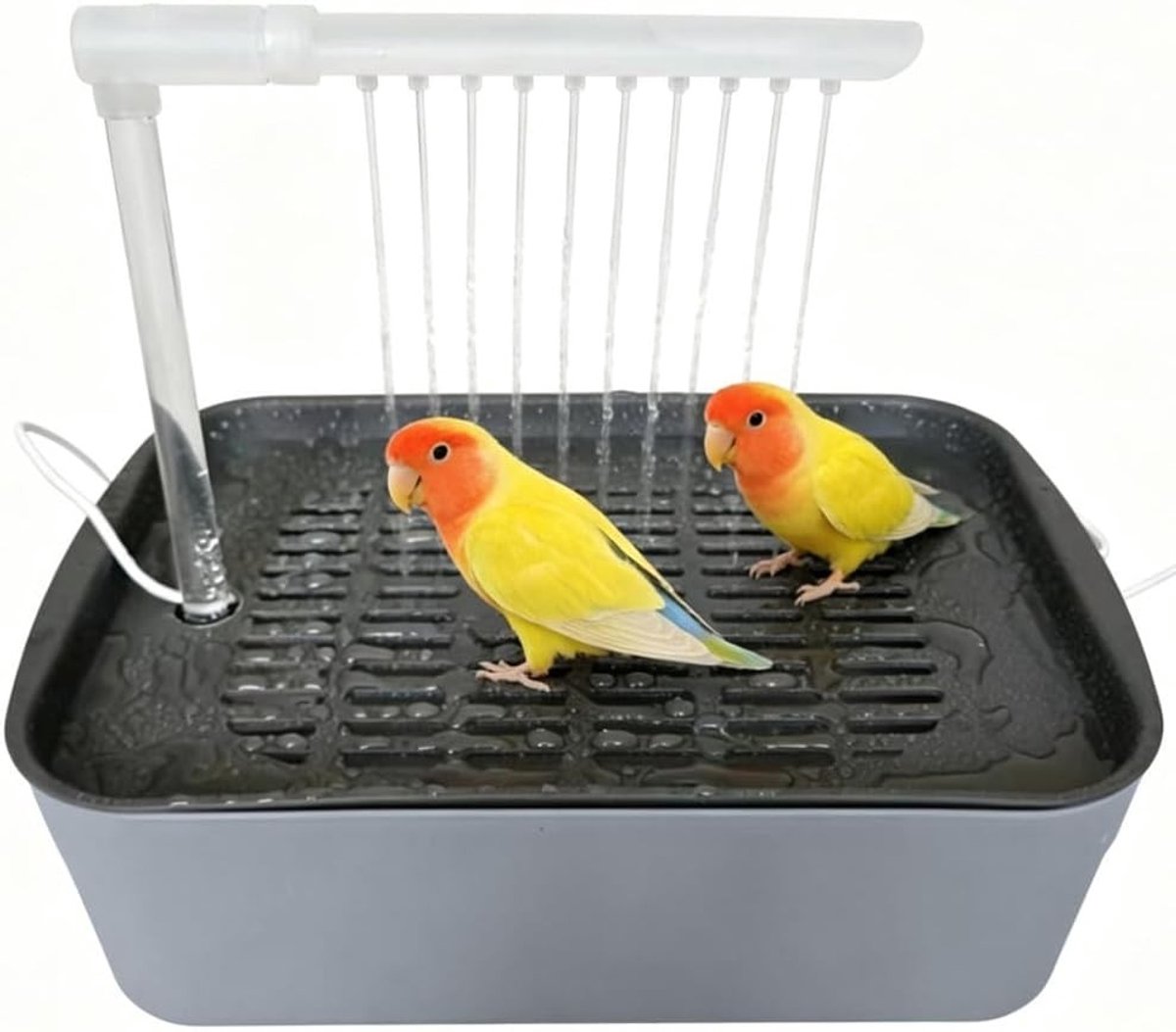 Automatische Vogeldouche met Watercirculatie voor Parkieten en Papegaaien, Vogelbad voor Kooi, Grijs en Duurzaam Design