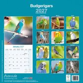 Parkieten Kalender 2027
