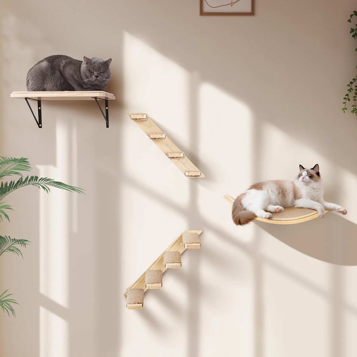 kattentrap, wandset met 2 treden, vierkante en gebogen platforms, wandgemonteerde houten kattenwandmeubelset voor klimmen, spelen, slapen