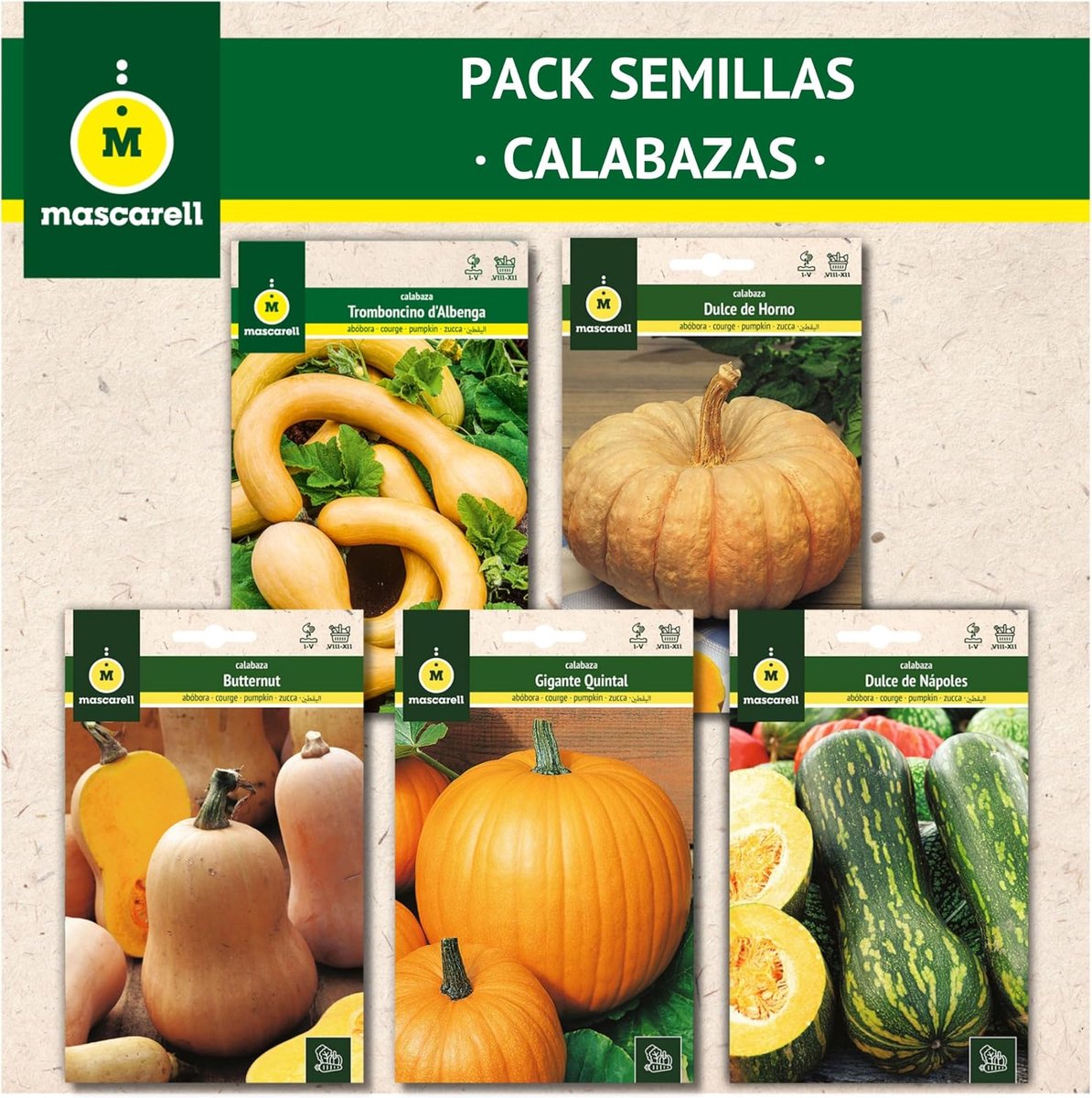 SnelShoppen - Radijszaadjes, Gemakkelijk Te Telen Thuis, 5 Soorten Heerlijke Radijzen, 98g, Ideaal Voor Tuin, Keuken, Beginners En Ervaren Tuiniers