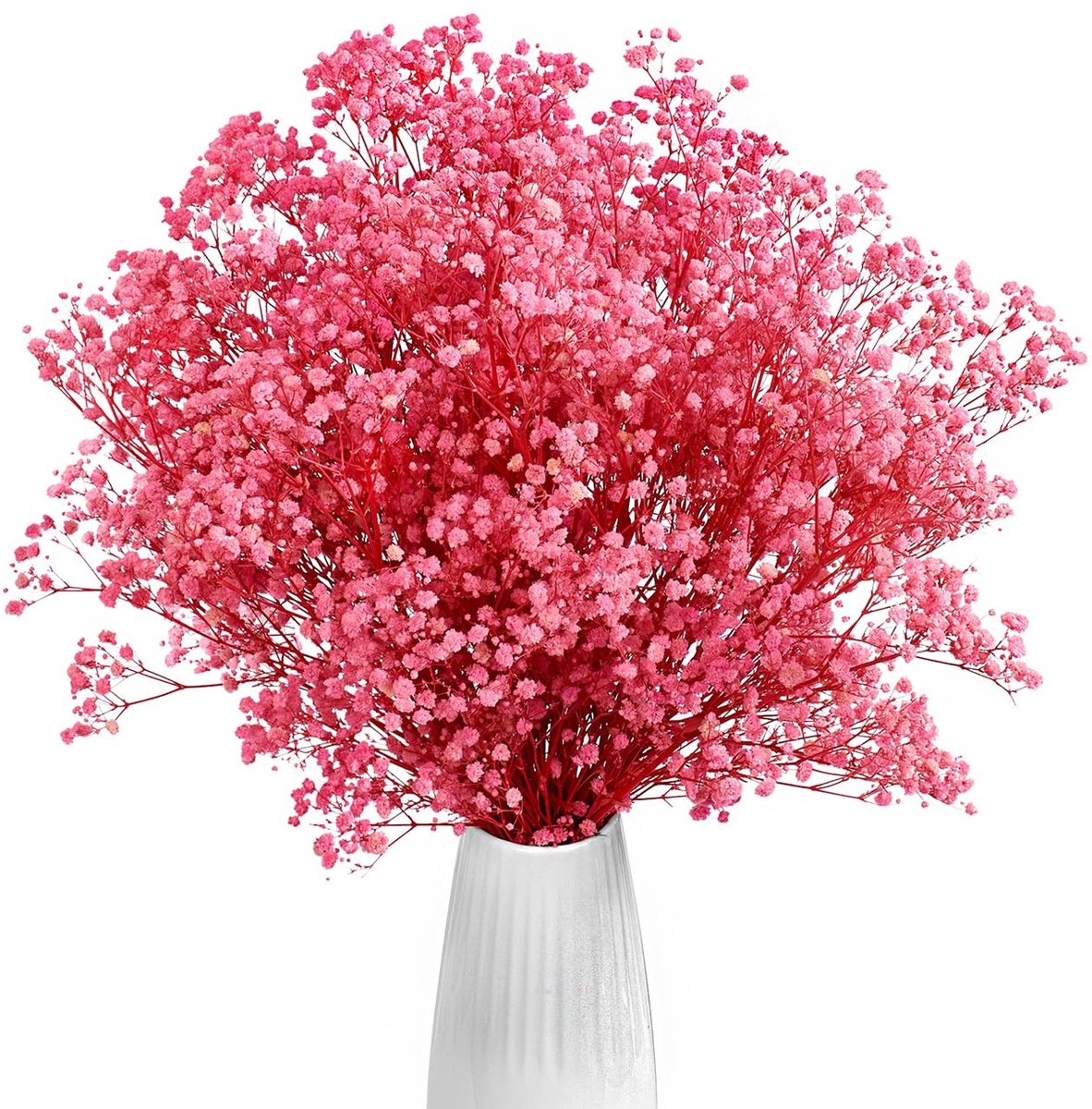 Omgoods - Gedroogde Gypsophila Bloemen voor Decoratie en Bruiloften 43 cm