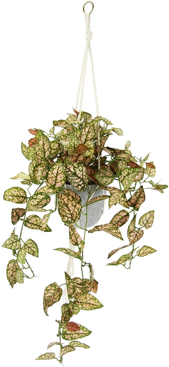 Omgoods - Kunstplant Fittonia Hanglamp met Pot, Decoratieve Groene Plant