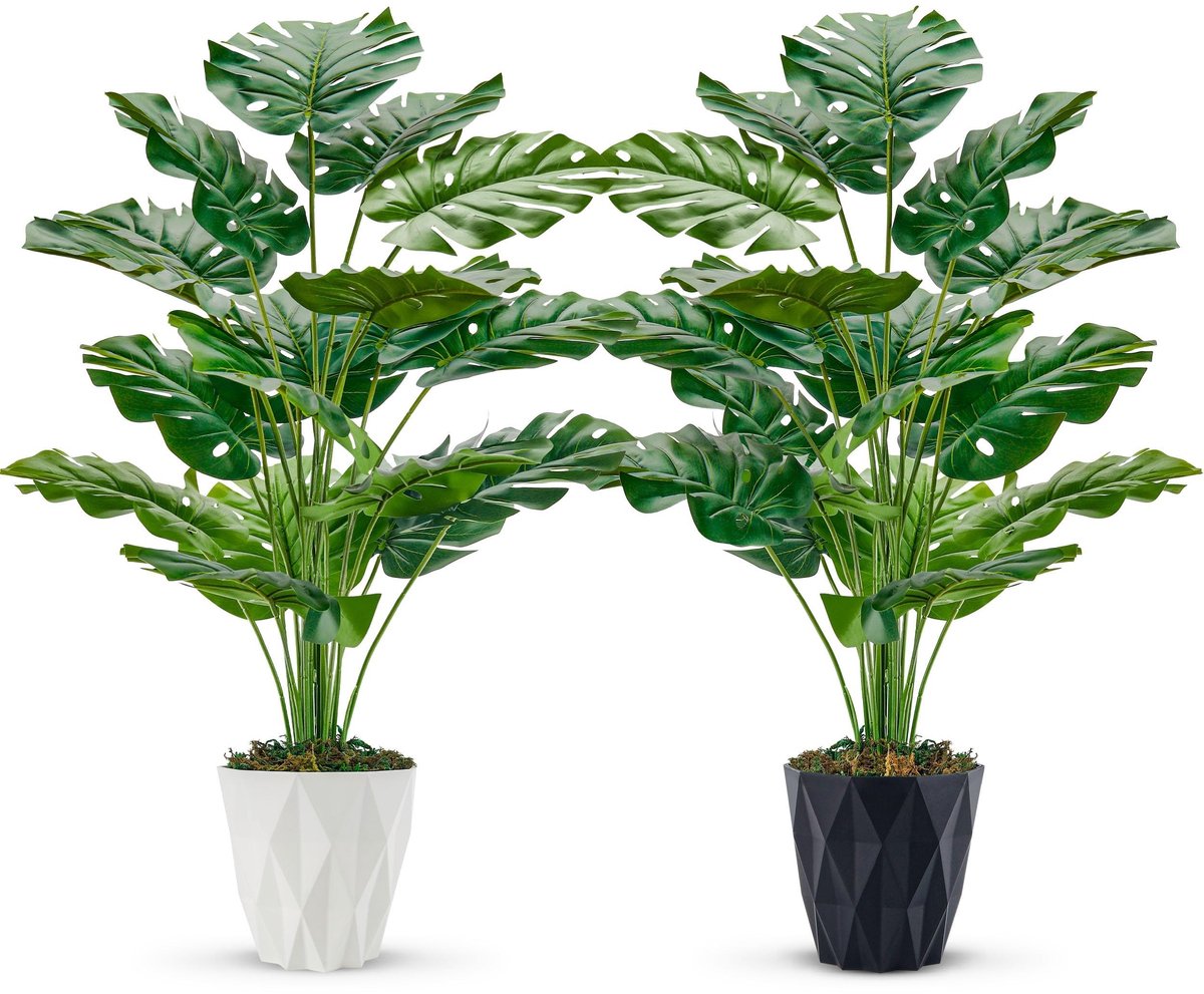 Omgoods - Set van 2 Nepplanten voor Woondecoratie