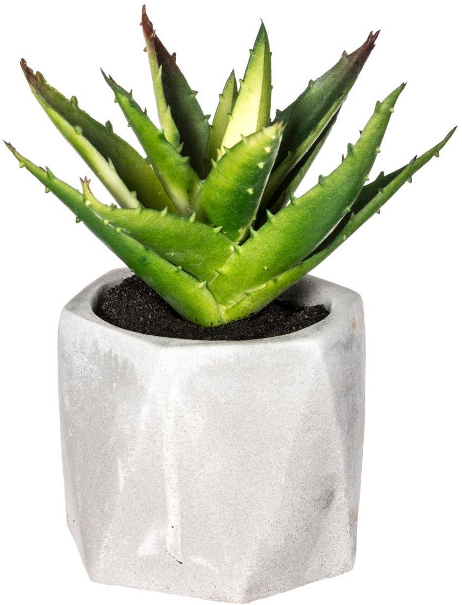 Kunstvetplant MASAO
