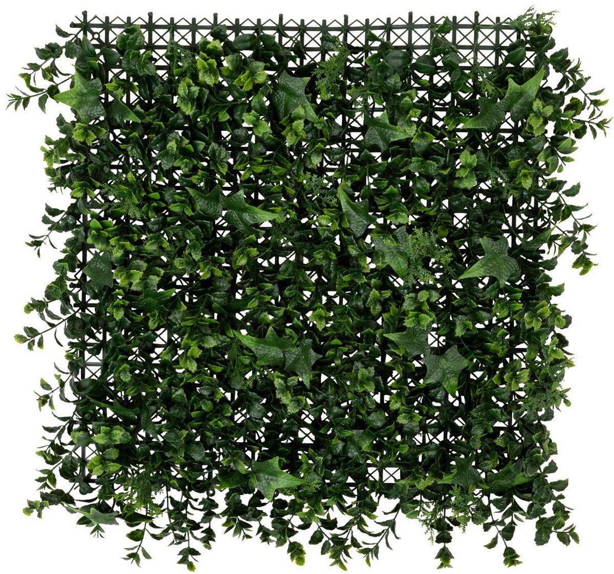 Plantenbak IZY
