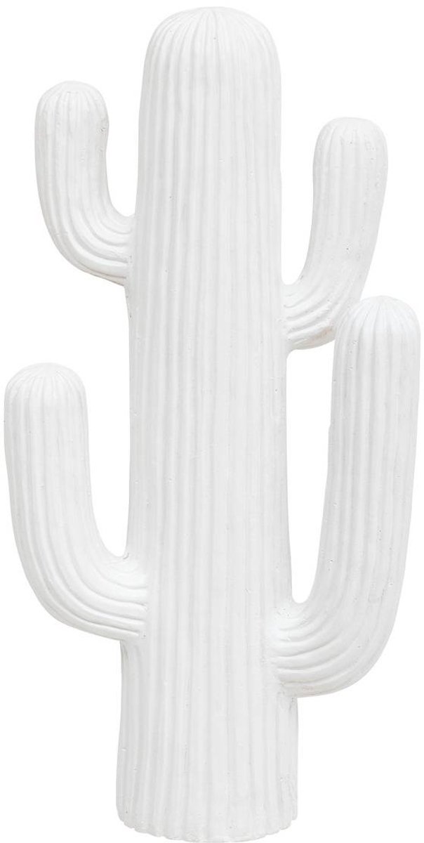 Decoratieve cactus RODRIGO
