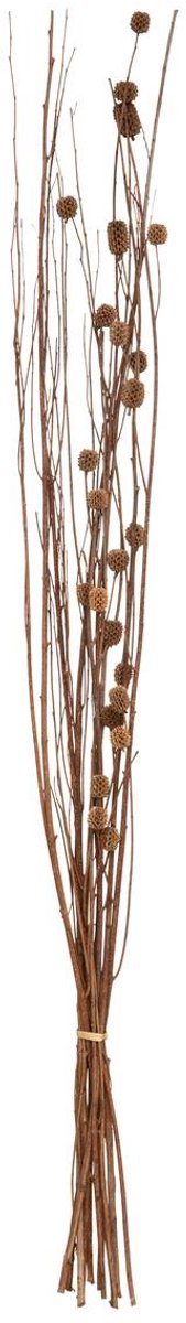 Natuurlijke gedroogde bloemen KANI