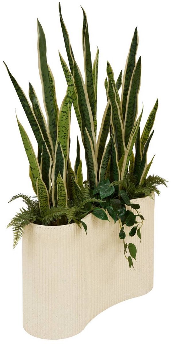 Grote plant SKY