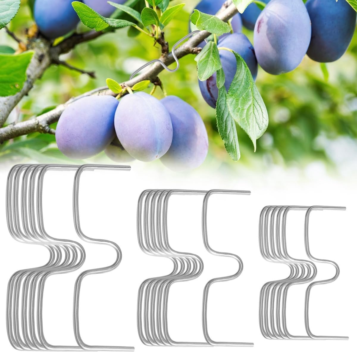 SnelShoppen - 36 Stuks Taksteun voor Fruitbomen - M-Vormige Metaal Boomsteunen 8, 10 en 13 cm - Weerbestendige Takhouders voor Tuin en Kassen
