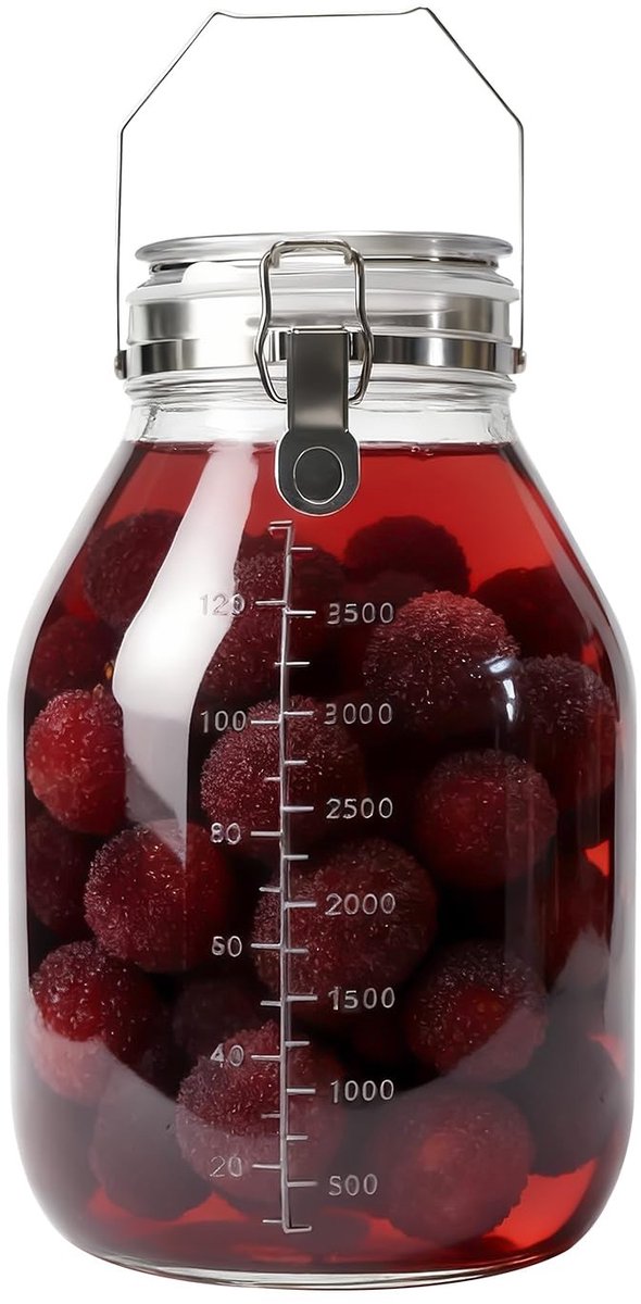 Omgoods - Bewaarpot met Kliksluiting en Automatische Ontluchting 4L