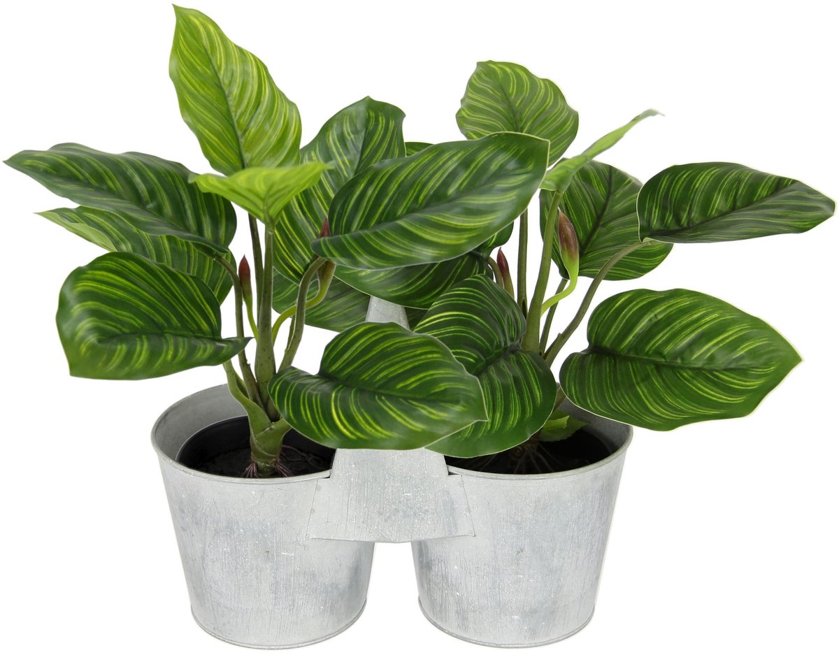 Omgoods - Kunstmatige Maranthus Plant in Metalen Mand 30 cm - Real Touch Groene Decoratie