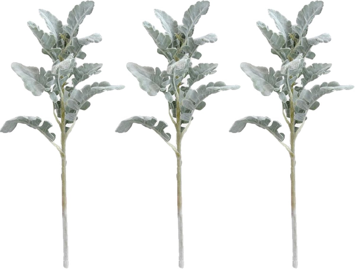 3 Stuks Kunstmatige Lamsoorronde Stengels, Faux Groente Bepoederde Salie Blaren Planten Kunstmatige Lamsoorronde Blaren voor Bruiloft Boeket DIY Tafelstukken Huisdecoratie