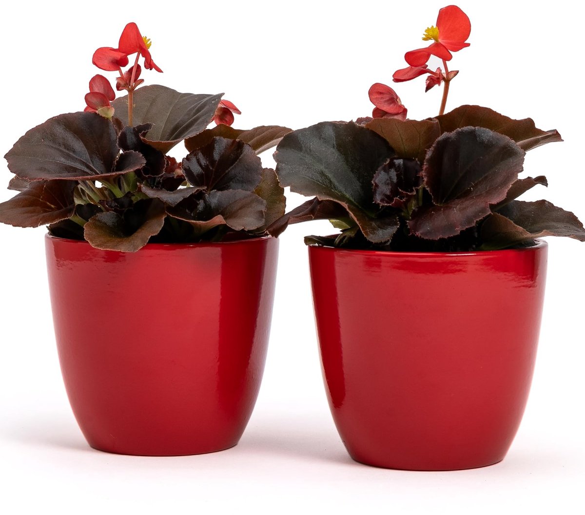 Omgoods - Set van 2 Terracotta Bloempotten voor Binnen en Buiten, Diameter 10 cm