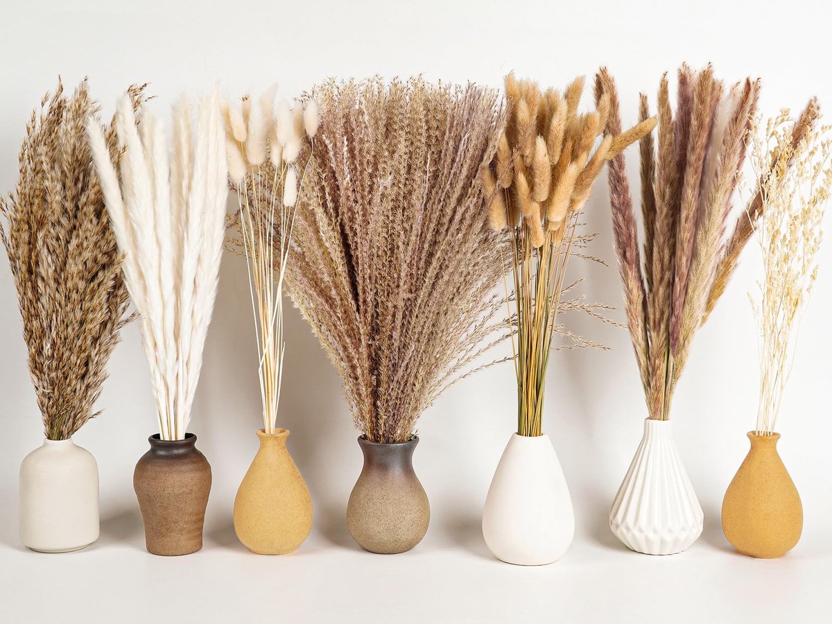 Omgoods - Set van 128 Stuks Gedroogde Bloemen voor Boho Decoratie