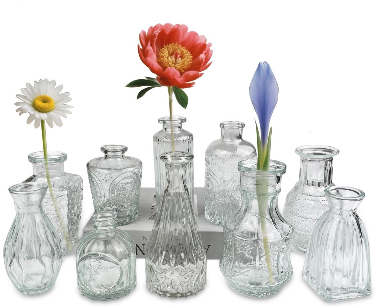 Omgoods - Set van 10 Mini Glazen Vazen voor Tafel Decoratie