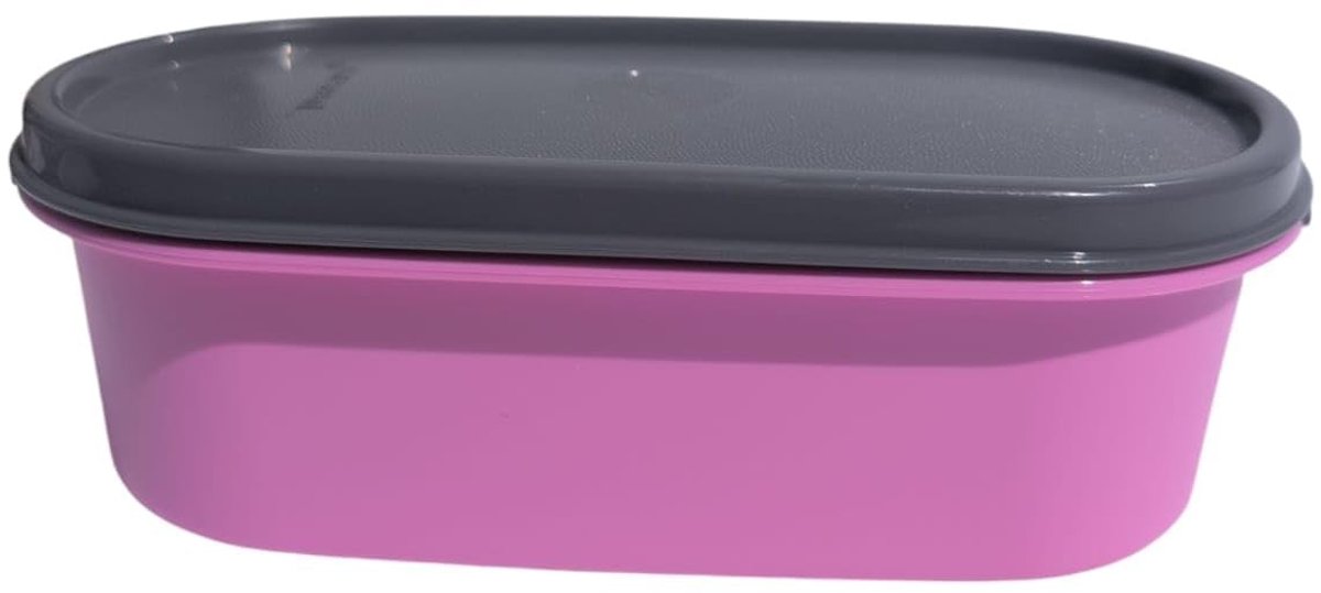 Omgoods - Compacte Voedselopslagcontainer met Deksel, 500 ml