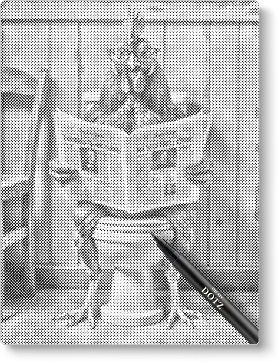 Kip op het toilet | Dot painting | 40x50cm | Dot painting | Oh My Dotz | Dots stippen | Diamond painting & Schilderen op nummer alternatief | Happy hobby
