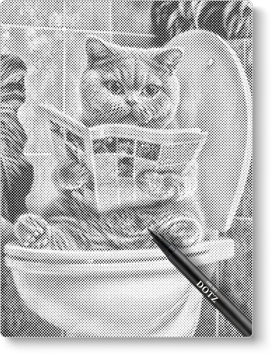 Kitten op het toilet | Dot painting | 30x40cm | Dot painting | Oh My Dotz | Dots stippen | Diamond painting & Schilderen op nummer alternatief | Happy hobby