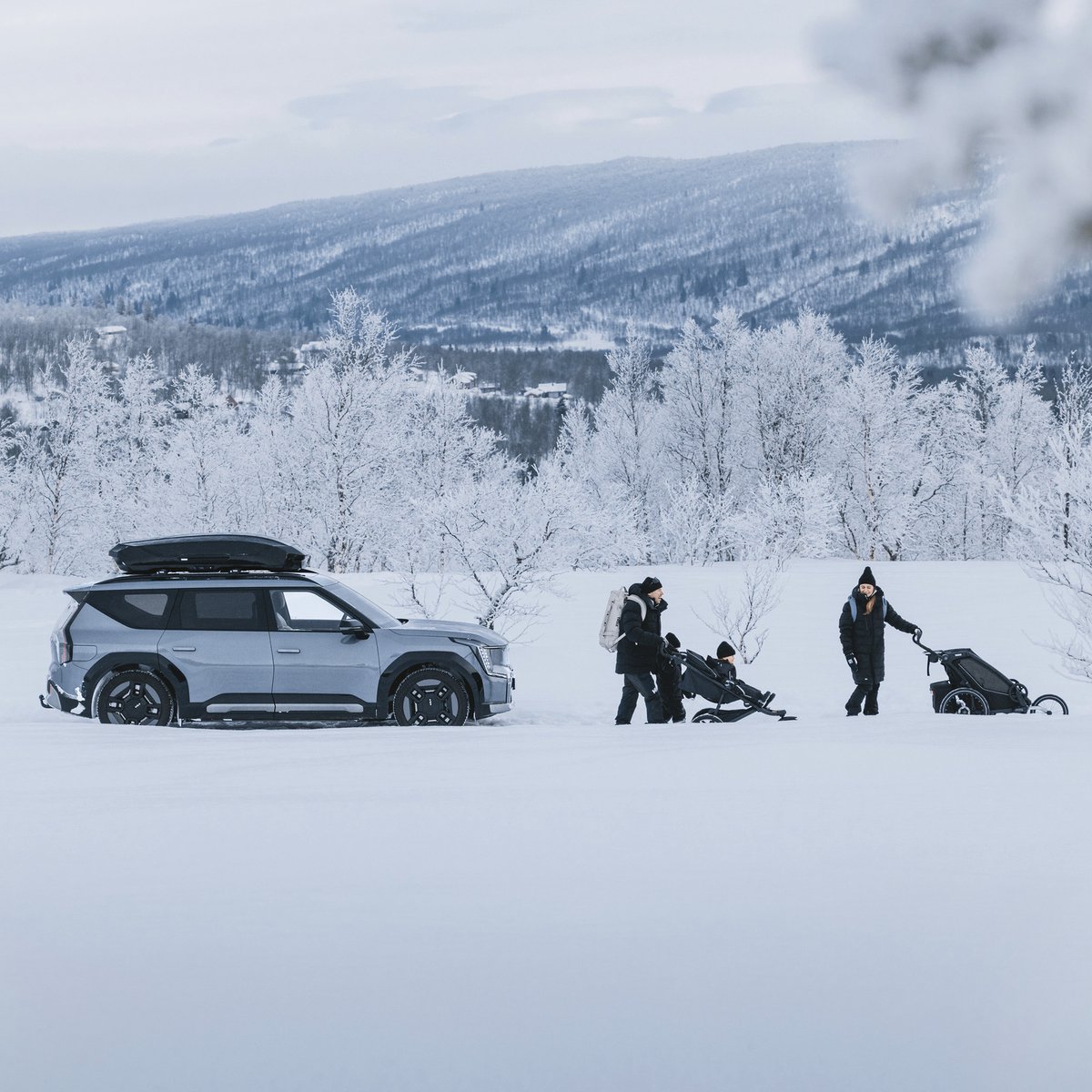 Thule Motion 3 XL Titan Glossy - Dakkoffer - 2 zijden te openen - 75kg laadvermogen – 490 L inhoud – foto 8