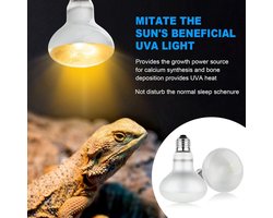 Reptiel Warmtelamp - Terrarium Lamp - Reptielen Warm Houden - UVA Volledig Spectrum - 2 Pack 75W - Glas