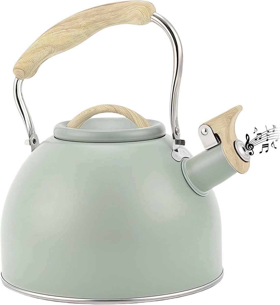 Fluitketel - Waterketel - Water Koken - Anti-hitte handvat - 3L Capaciteit - Groen