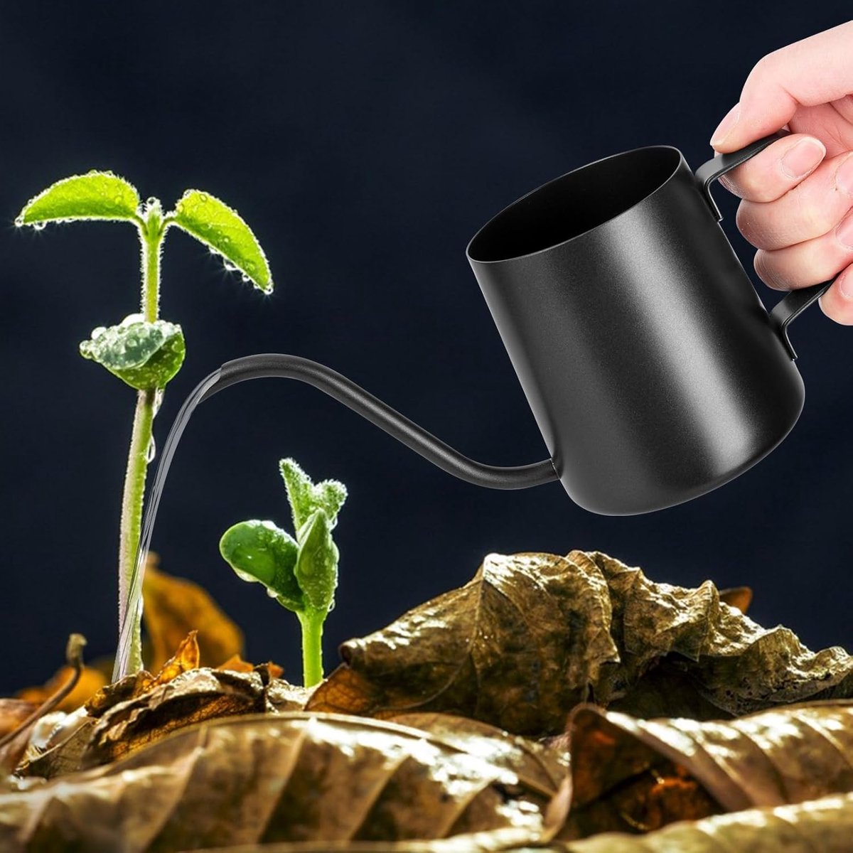 SnelShoppen - Mini Gieter voor Kamerplanten 250 ml, Zwart, Roestvrij Staal, Lange Uitloop, Ideaal voor Vetplanten en Binnenplanten, Compact en Handig
