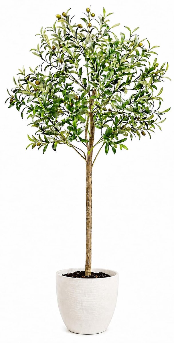 SnelShoppen - Kunstplanten Groot - 150 cm Olijfboom - Decoratieve Kunstboom met Pot voor Woonkamer, Kantoor en Hotel - Kunstmatige Olijfboom voor Elke