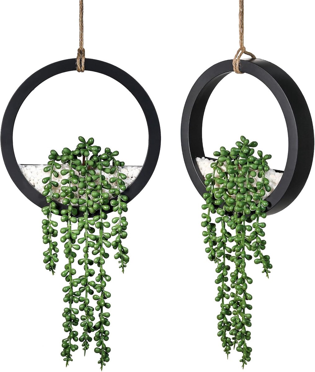 SnelShoppen - Set van 2 Kunstmatige Hangende Succulenten 31cm - Nepplant in Pot met Modern Zwart Frame - Wanddecoratie voor Woonkamer, Badkamer, Slaap