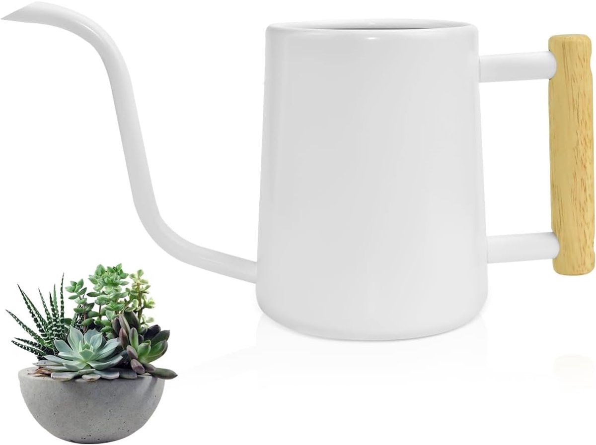 SnelShoppen - Roestvrijstalen Gieter 1L voor Kamerplanten - Moderne Bloemengieter met Lange Uitloop - Decoratieve Irrigatiepot in Wit voor Huis, Bonsa